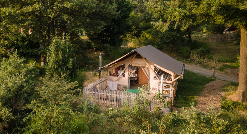 A glamping lodge secluded in a forest with a man on the decking